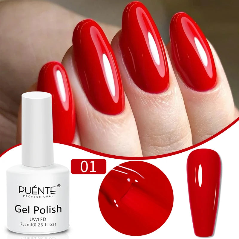 S2b32035d02b2456fadf3265dea571f35b